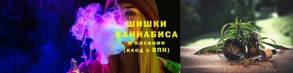 прущие крисы Новодвинск