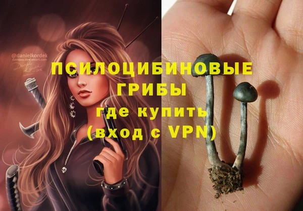 прущие крисы Болохово
