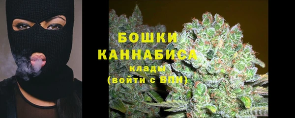 дживик Нязепетровск