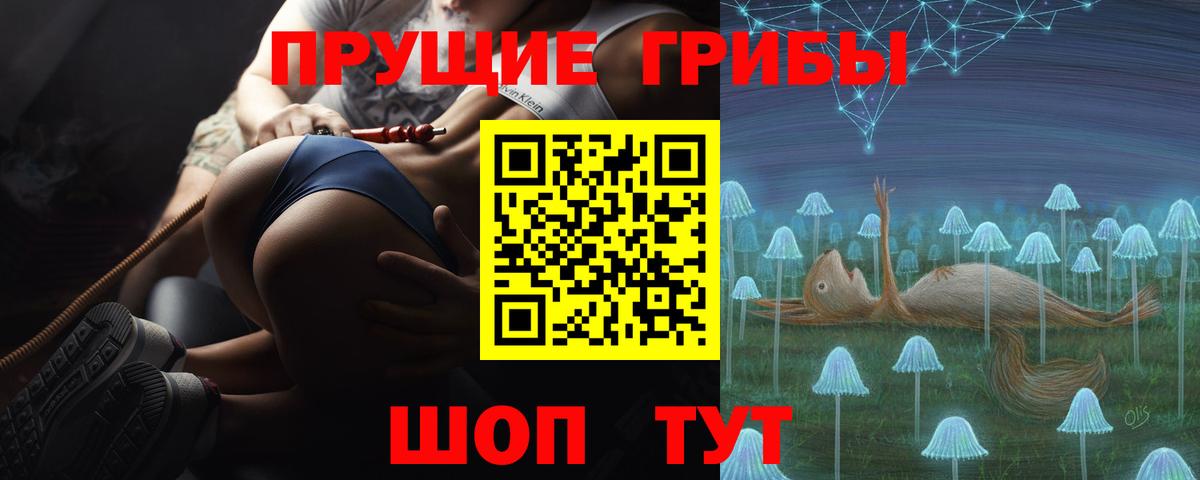 Псилоцибиновые грибы прущие грибы  Богданович 