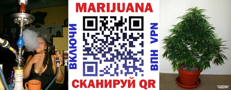 Конопля White Widow  Богданович 